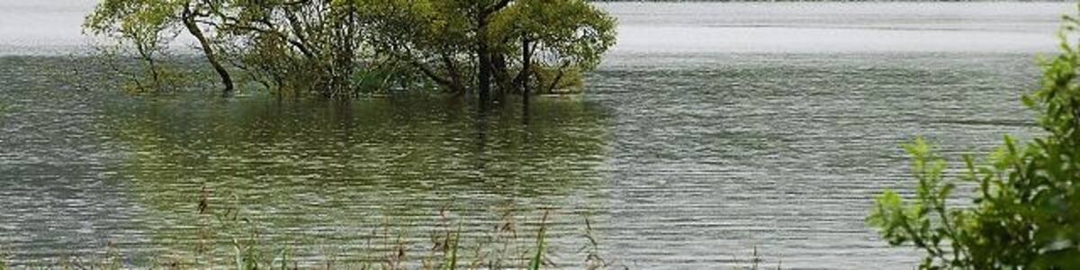Photo "Flooded crannog The crannog on Loch Ederline is completely under water after two days of intense rainfall. Picture taken when unable to get into work due to two different sections of the A816 being impassable due to flood water." by Patrick Mackie (Creative Commons Attribution-Share Alike 2.0) / Cropped from original