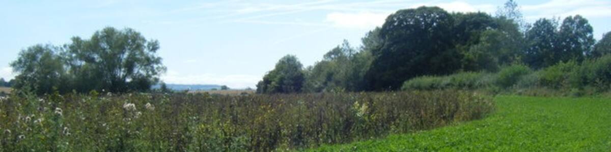 Photo "Vapour Trails Over Field Near Kingsdon" by Ivan Hall (Creative Commons Attribution-Share Alike 2.0) / Cropped from original