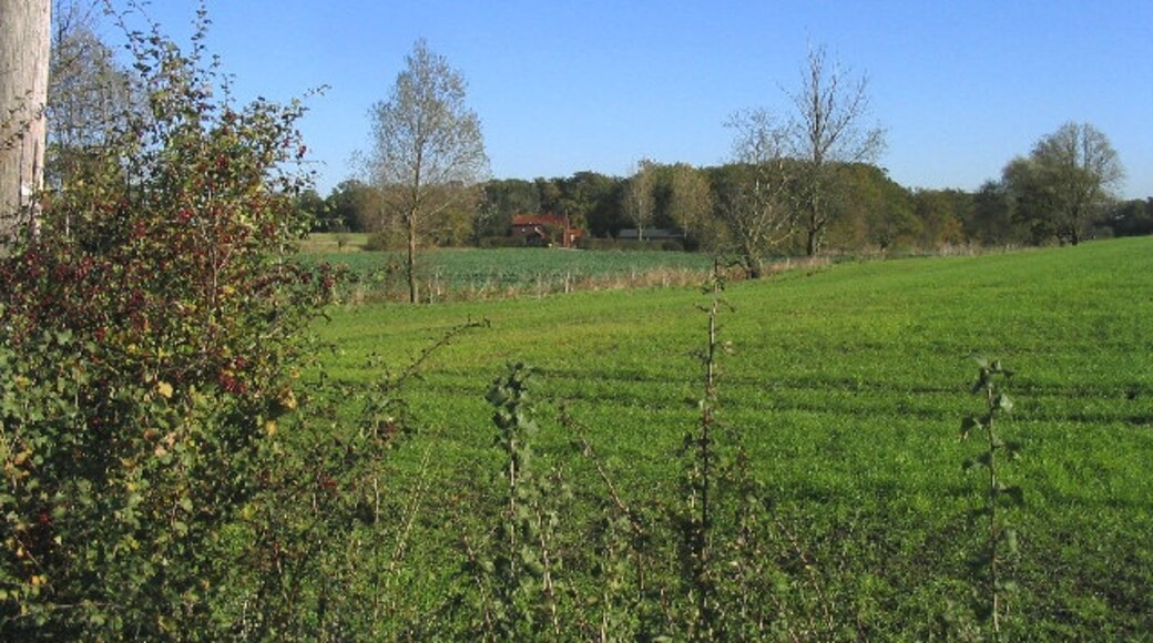 "Bobbingworth"-foto av John Winfield (CC BY-SA) / Urklipp från original