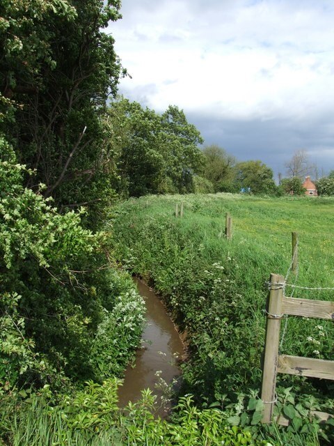 Foto "Toynton San Pedro" por Dave Hitchborne (CC BY-SA) / Recortada de la original