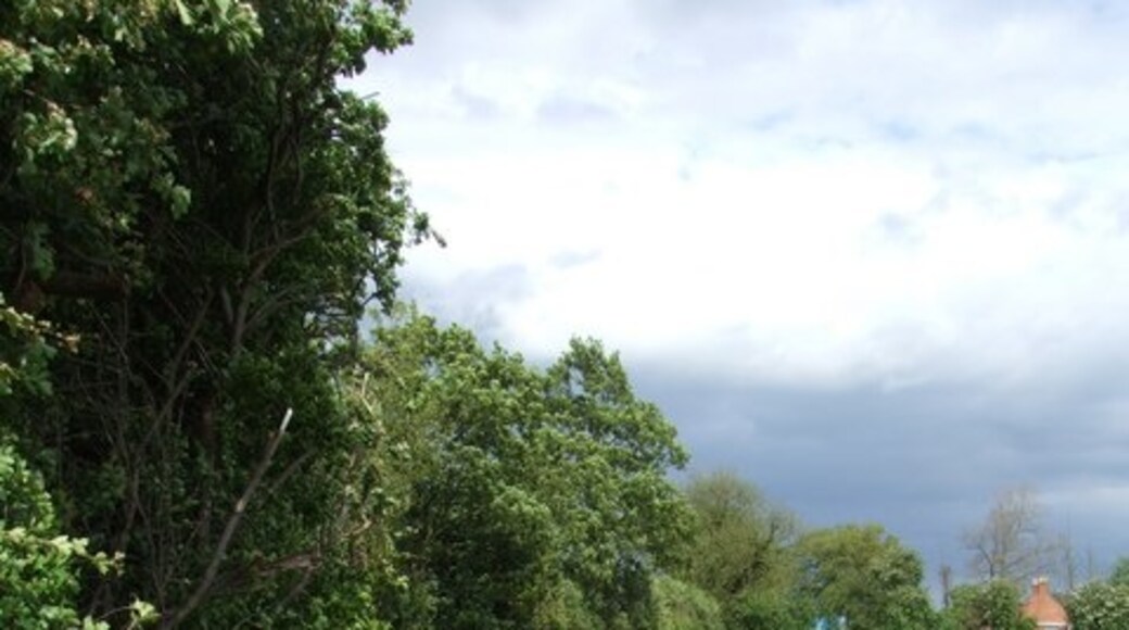 Foto "Toynton San Pedro" por Dave Hitchborne (CC BY-SA) / Recortada de la original