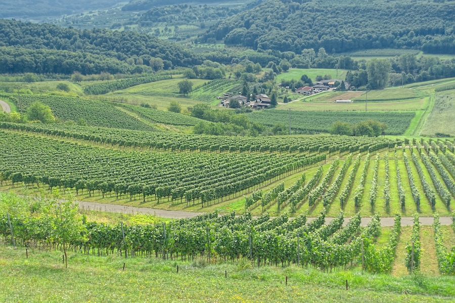 Auf der Eck mit Blick nach Osten