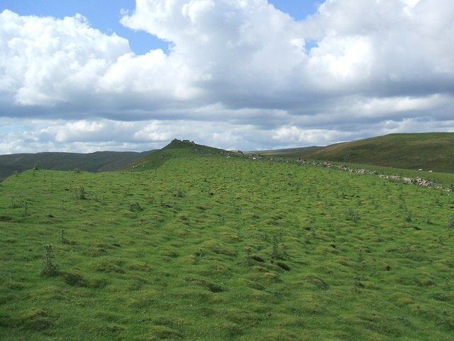 Photo "Musgrave" by David Brown (CC BY-SA) / Cropped from original