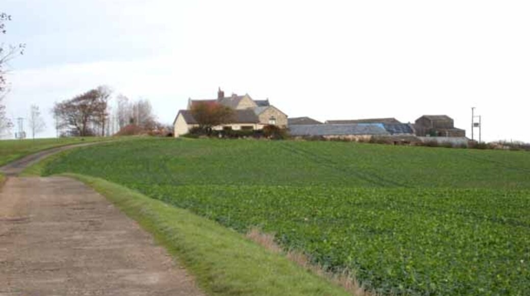 "Nesbitt"-foto av Oliver Dixon (CC BY-SA) / Urklipp från original