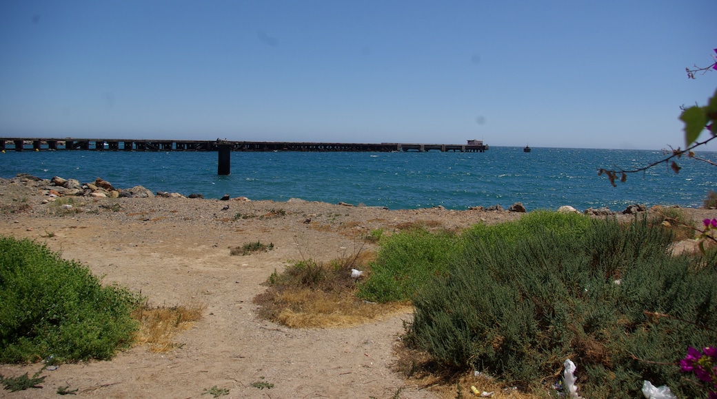 « El Zapillo», photo de Concepcion AMAT ORTA… (CC BY) / rognée de l’originale