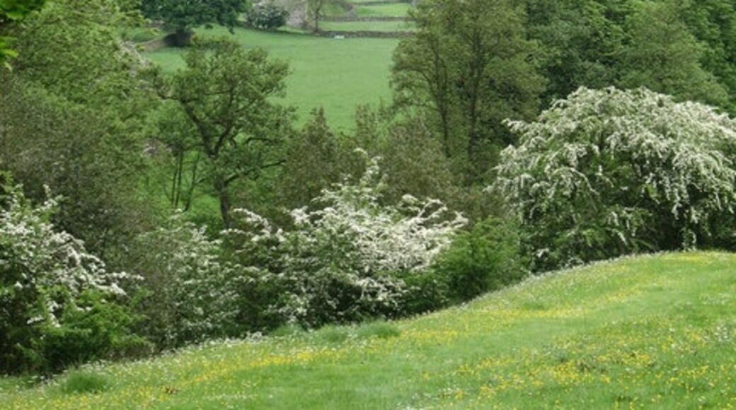 Foto “Burton-cum-Walden” tomada por Gordon Hatton (CC BY-SA); recorte de la original