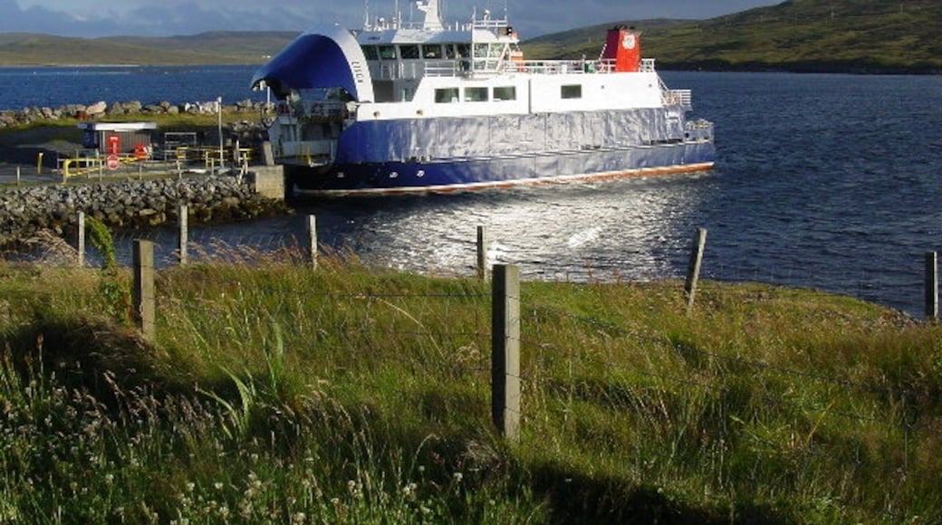 Kuva ”Shetland” käyttäjältä Colin Park (CC BY-SA) / rajattu alkuperäisestä kuvasta