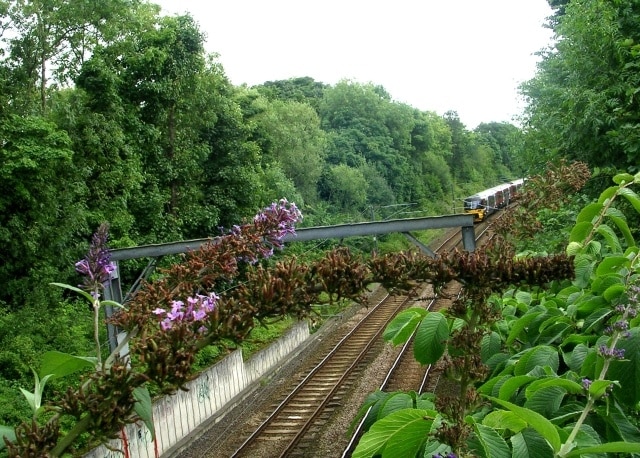 View from Bradford Road Bridge - Menston