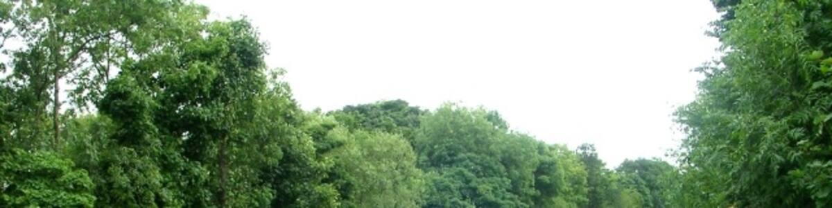Photo "View from Bradford Road Bridge - Menston" by Betty Longbottom (Creative Commons Attribution-Share Alike 2.0) / Cropped from original