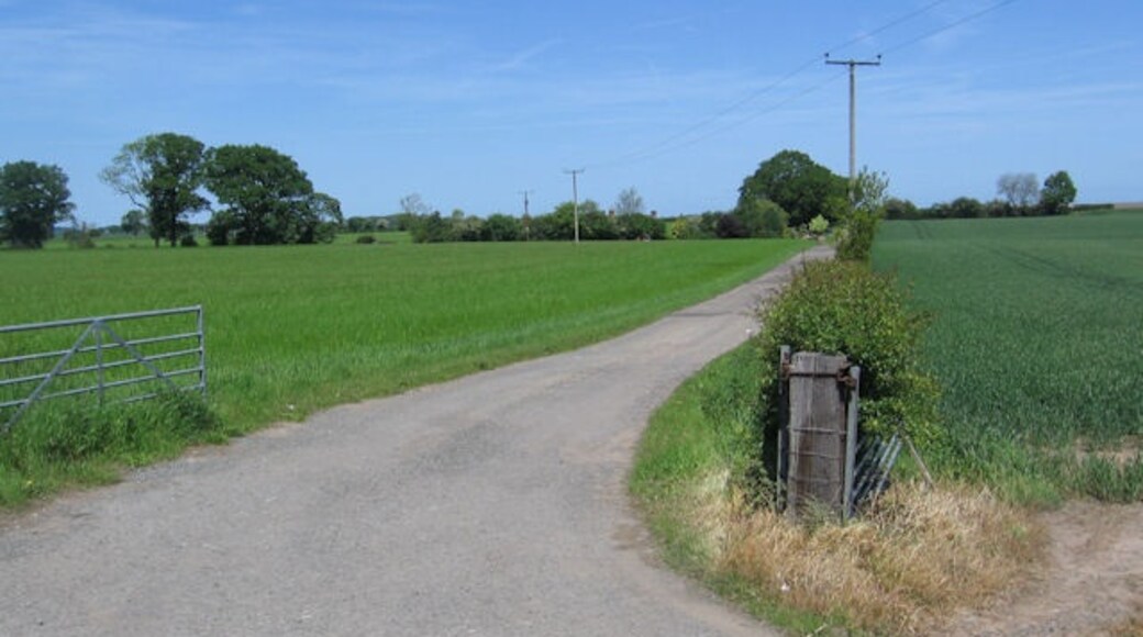 Photo "Ford" by John Firth (CC BY-SA) / Cropped from original