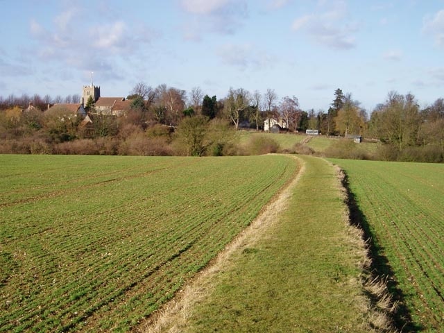 Footpath from Church End to Water End, Ashdon. A raised strip of land between two fields. Church End is in the background.