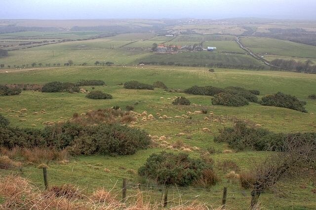 Kuva ”Borrowby” käyttäjältä Mick Garratt (CC BY-SA) / rajattu alkuperäisestä kuvasta