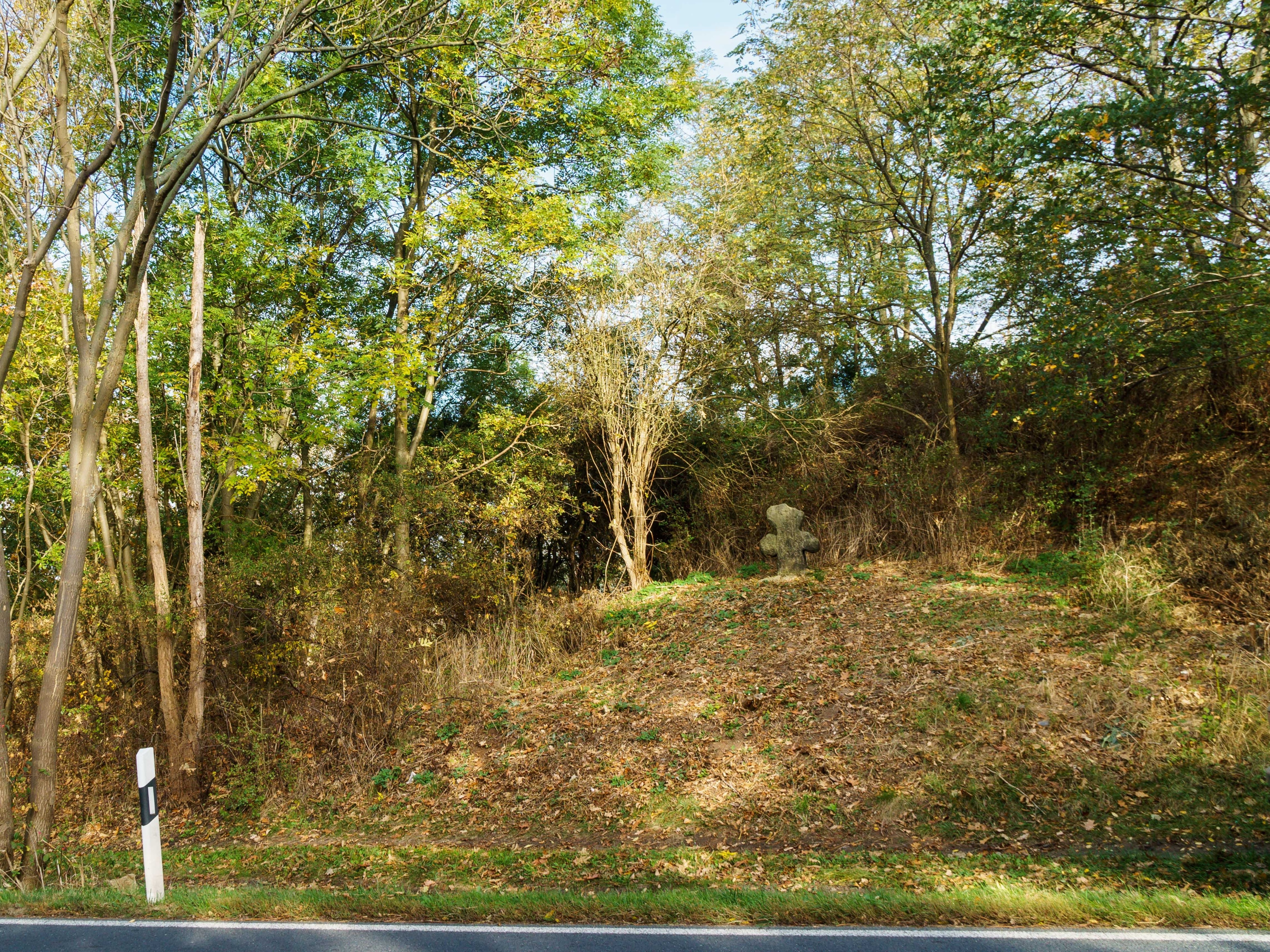 Foto ‘Großenhain’ van Radler59 (CC BY-SA) / bijgesneden versie van origineel