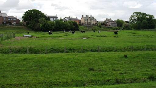 "Burgh by Sands"-foto av David Purchase (CC BY-SA) / Urklipp från original