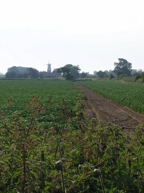 Farmland, looking towards Sutton Mill. Appearing rather hazily over the potato field, this view of the mill contrasts with the atmosphere of 197407 taken a few minutes earlier.