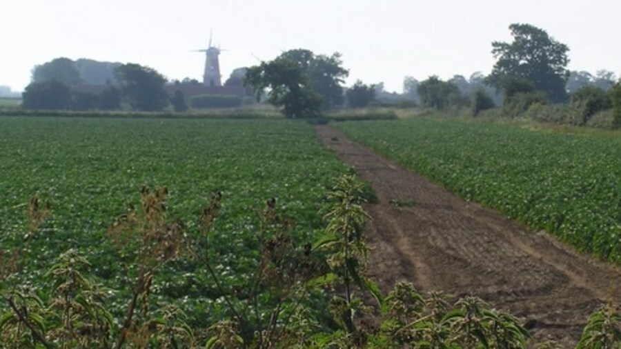 Photo "Farmland, looking towards Sutton Mill. Appearing rather hazily over the potato field, this view of the mill contrasts with the atmosphere of 197407 taken a few minutes earlier." by Katy Walters (Creative Commons Attribution-Share Alike 2.0) / Cropped from original