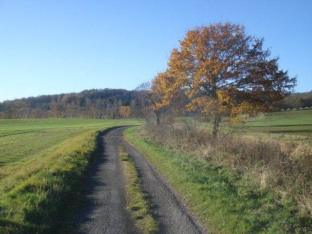 Photo "Leigh" by Trevor Rickard (CC BY-SA) / Cropped from original