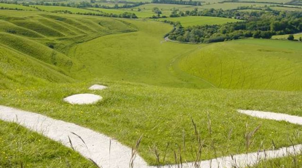 Photo "Uffington White Horse" by clockworkpurple (CC BY-SA) / Cropped from original
