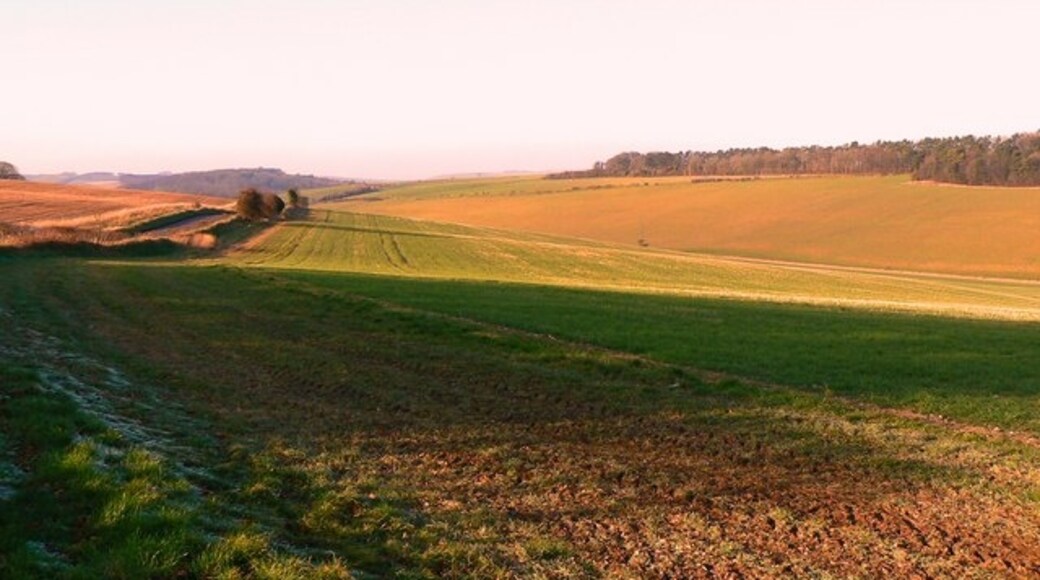 Foto "Preshute" por Brian Robert Marshall (CC BY-SA) / Recortada de la original