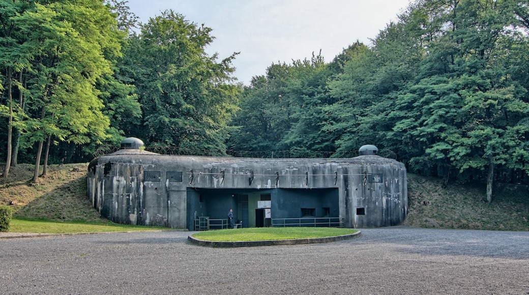 Photo "Maginot Line" by matthiashn (CC BY) / Cropped from original