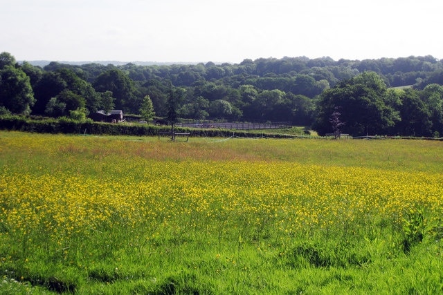 Foto „Heathfield und Waldron“ von Oast House Archive (CC BY-SA)/zugeschnittenes Original