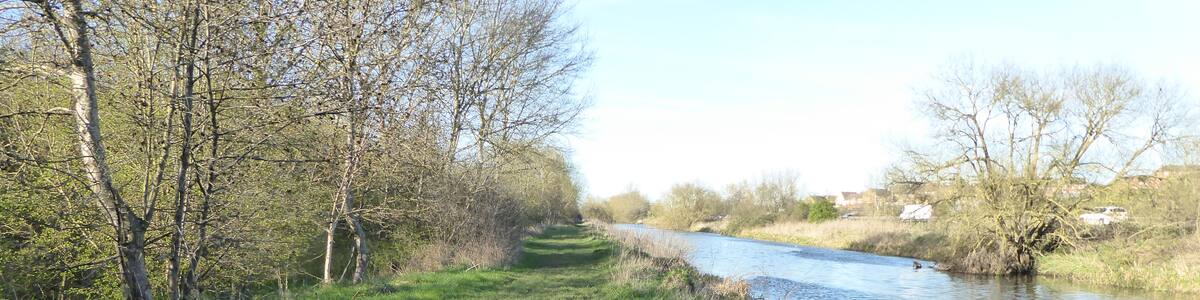 Photo "Higham Ferrers Pits is a nature reserve east of Wellingborough in Northamptonshire. It is managed by the Wildlife Trust for Bedfordshire, Cambridgeshire and Northamptonshire, and is part of the Upper Nene Valley Gravel Pits Site of Special Scientific Interest." by Dudley Miles (Creative Commons Attribution-Share Alike 4.0) / Cropped from original