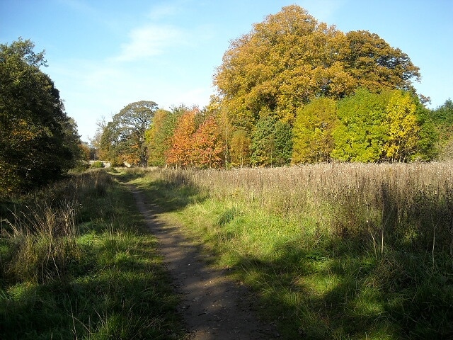 Autumn Colours on Clyde Walkway