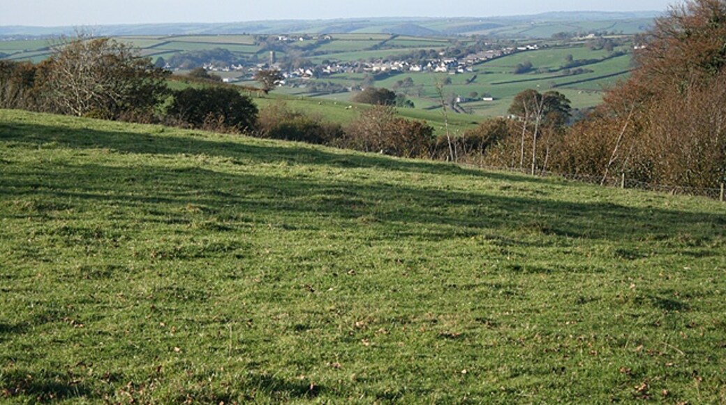 "Rose Ash"-foto av Martin Bodman (CC BY-SA) / Urklipp från original