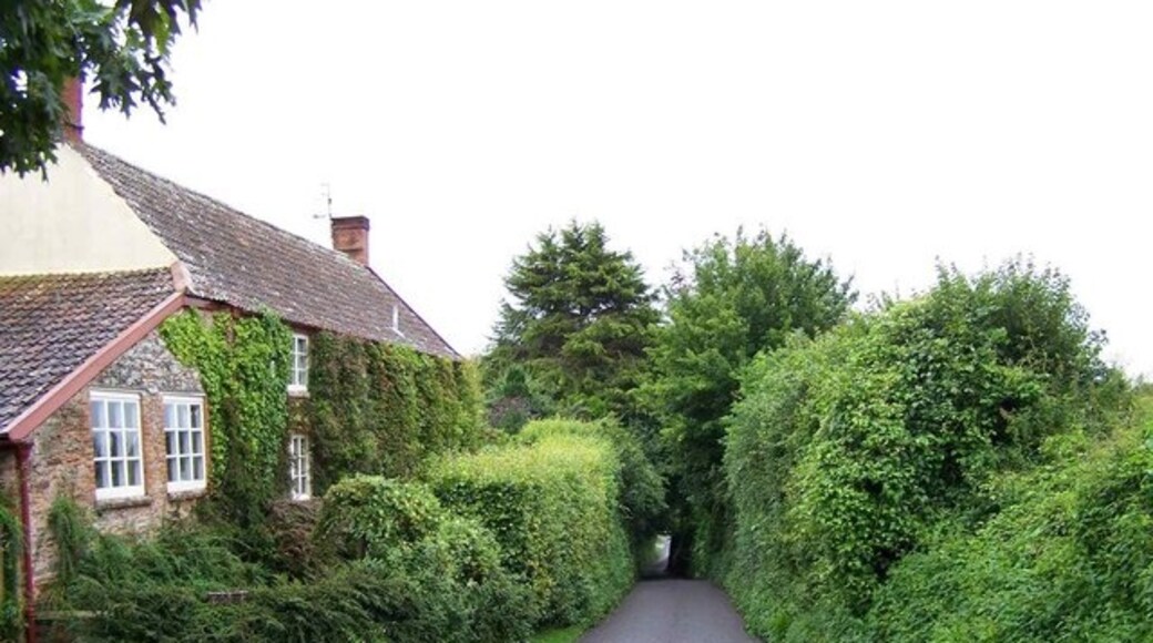 "Thurloxton"-foto av Geoff Pick (CC BY-SA) / Urklipp från original