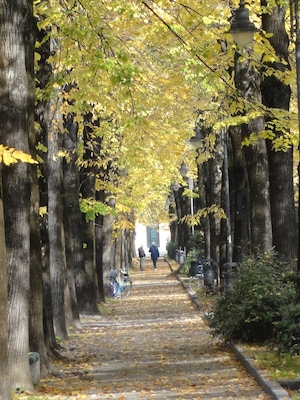 il viale della stazione