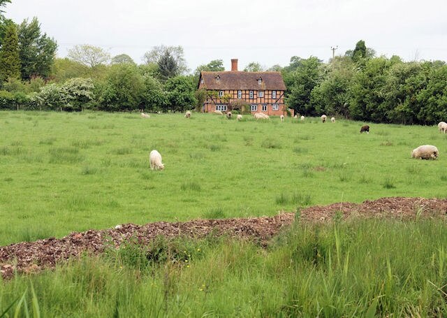 Foto “Hadzor” tomada por Pierre Terre (CC BY-SA); recorte de la original