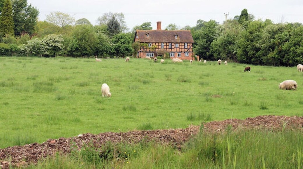 Photo "Hadzor" by Pierre Terre (CC BY-SA) / Cropped from original