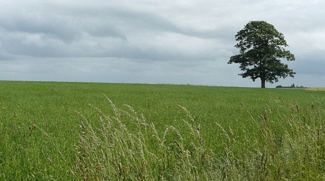 Kuva ”Hutton Conyers” käyttäjältä Graham Horn (CC BY-SA) / rajattu alkuperäisestä kuvasta