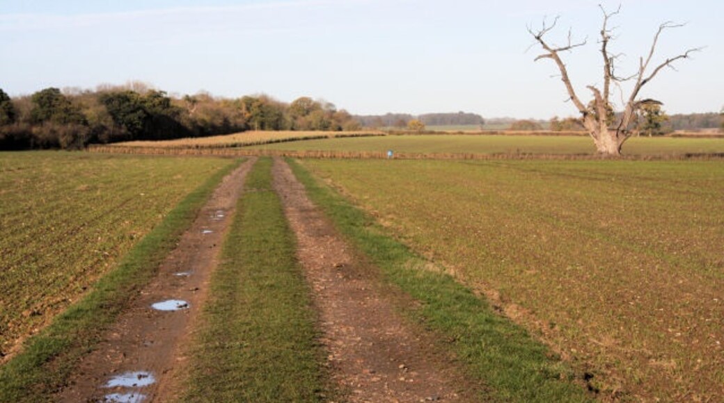 Foto "Hunston" de Bob Jones (CC BY-SA) / Recortada do original