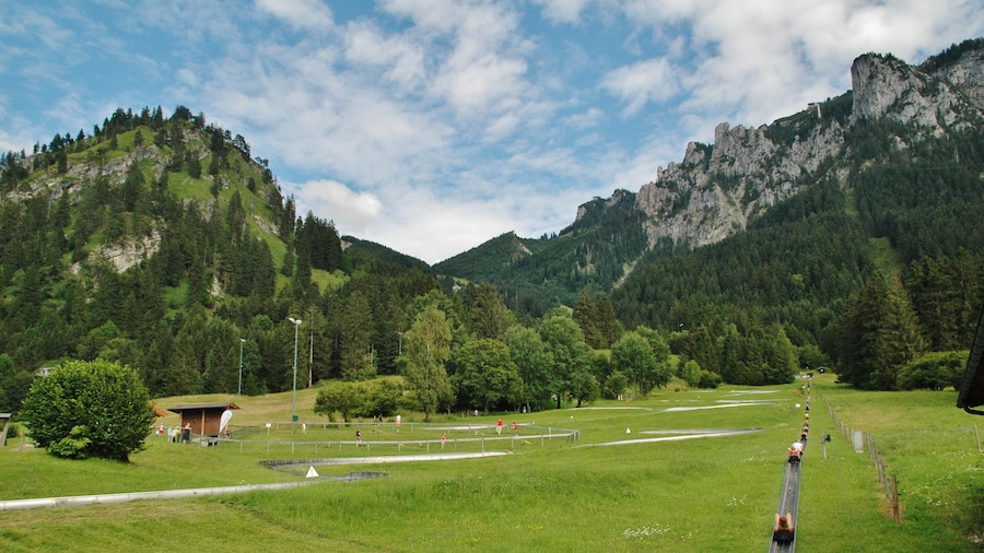 Photo "Sommerrodelbahn - Tegelbergbahn" by qwesy qwesy (Creative Commons Attribution 3.0) / Cropped from original