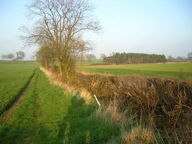 Kuva ”Warlaby” käyttäjältä Nick Morgan (CC BY-SA) / rajattu alkuperäisestä kuvasta