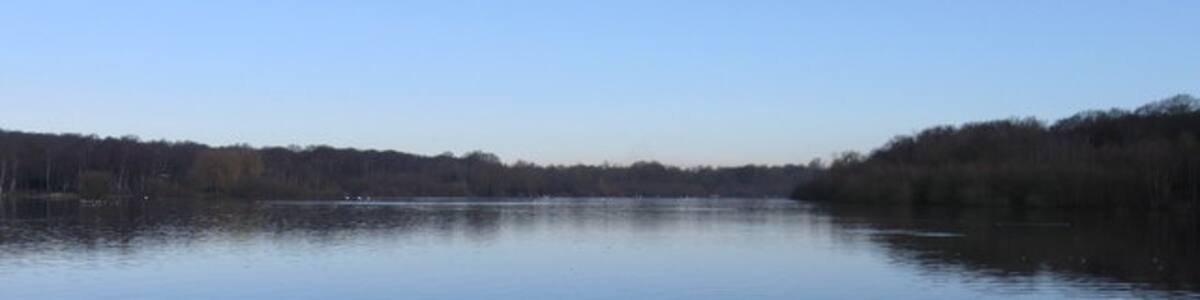 Photo "Ruislip Lido from Woody Bay" by Alex McGregor (Creative Commons Attribution-Share Alike 2.0) / Cropped from original