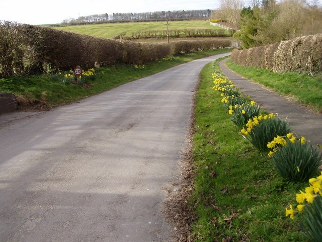 Foto “Grindale” tomada por JThomas (CC BY-SA); recorte de la original
