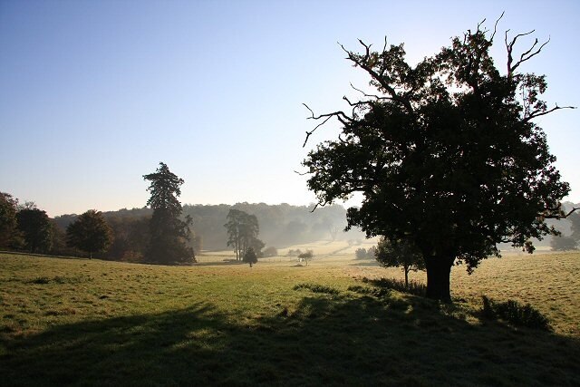 Ảnh "The Saxhams" của Bob Jones (CC BY-SA) / Cắt từ ảnh gốc