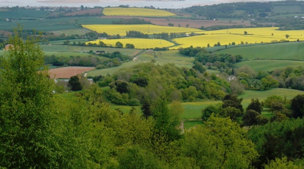 Kuva ”Mamhead” käyttäjältä Roger Cornfoot (CC BY-SA) / rajattu alkuperäisestä kuvasta