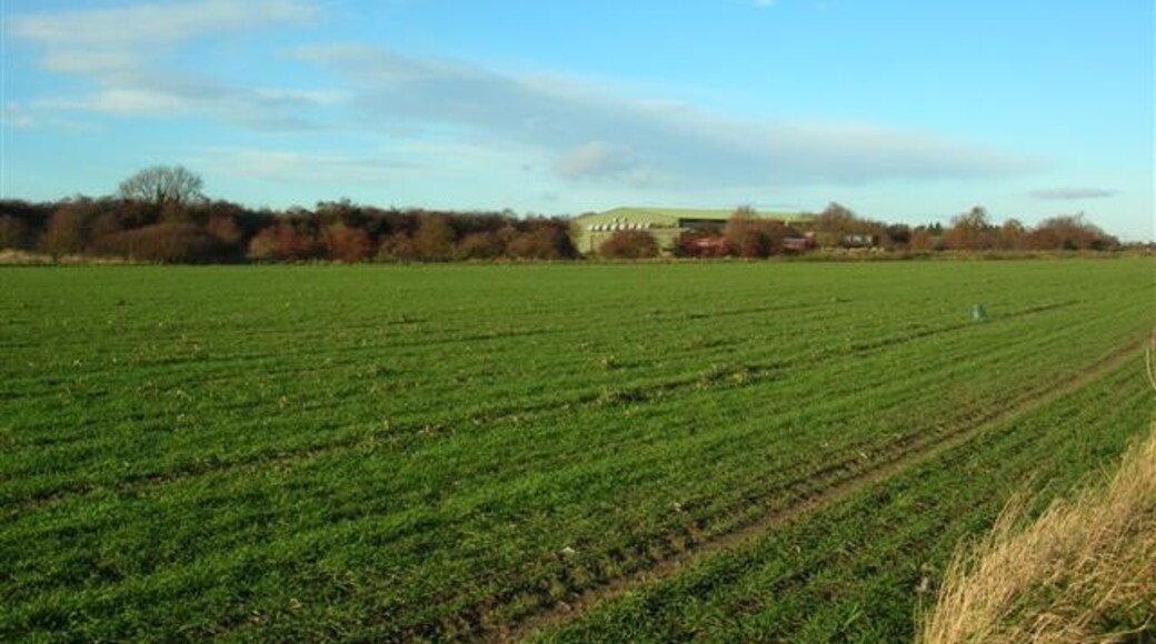 "Acaster Selby"-foto av DS Pugh (CC BY-SA) / Urklipp från original