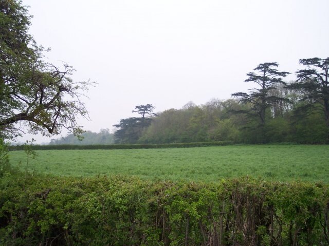 Photo "Holdfast" by Bob Embleton (CC BY-SA) / Cropped from original