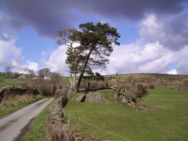 Kuva ”Lower Allithwaite” käyttäjältä Ron Shirt (CC BY-SA) / rajattu alkuperäisestä kuvasta