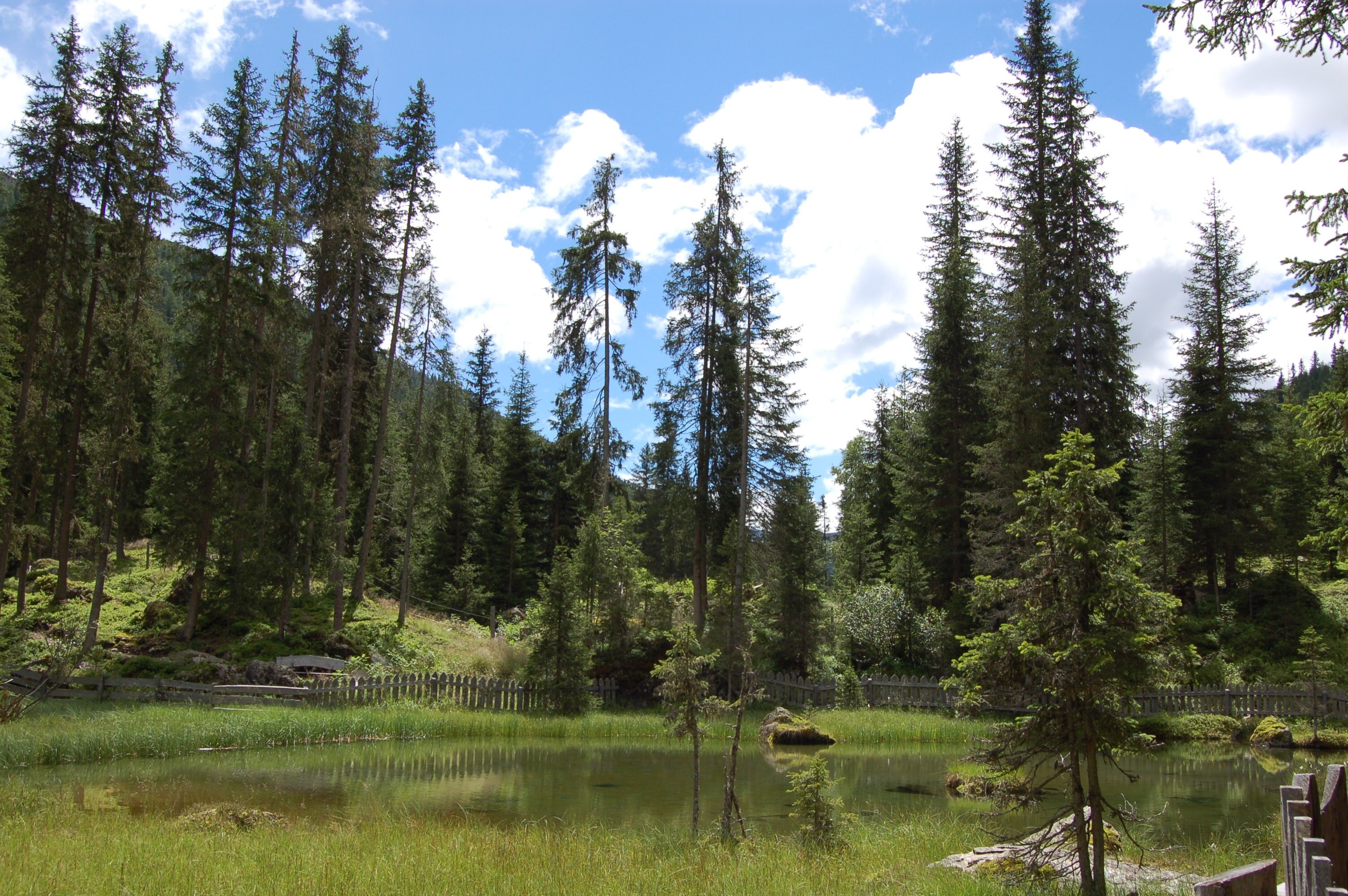 Photo "Innervillgraten" by Michael Kranewitter (CC BY-SA) / Cropped from original