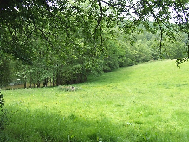 Field by the Lake, near Willey, Shropshire The field contains lush grass; maybe after mowing, grazing will follow. Access to the lake is very limited.