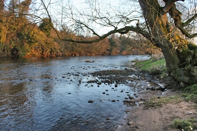 Foto “Crackenthorpe” tomada por Bob Jenkins (CC BY-SA); recorte de la original