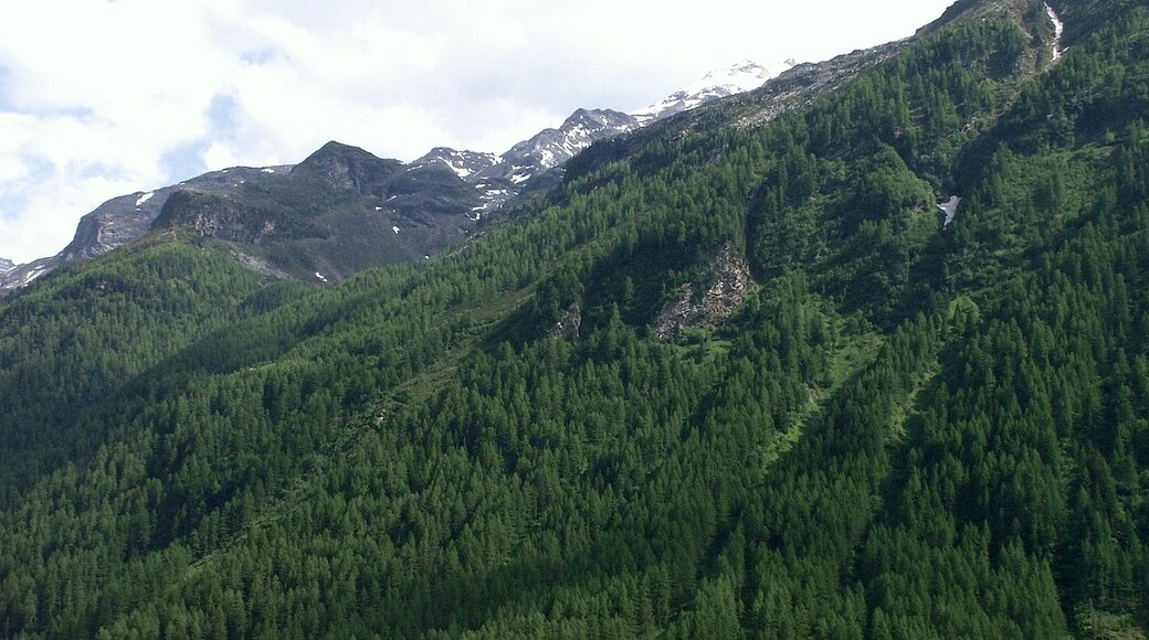 Riva di Tures, Campo Tures, Trentino-Alto Adige, Italy