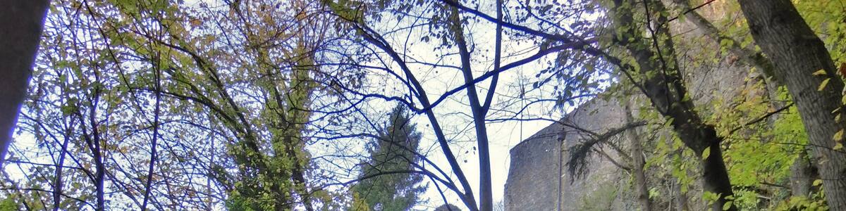 Photo "Aufstieg zur Burg Rabeneck" by G. Zapf (Creative Commons Attribution 3.0) / Cropped from original