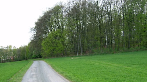 "Hagen am Teuteburger Wald"-foto av C. Rüger (CC BY) / Urklipp från original