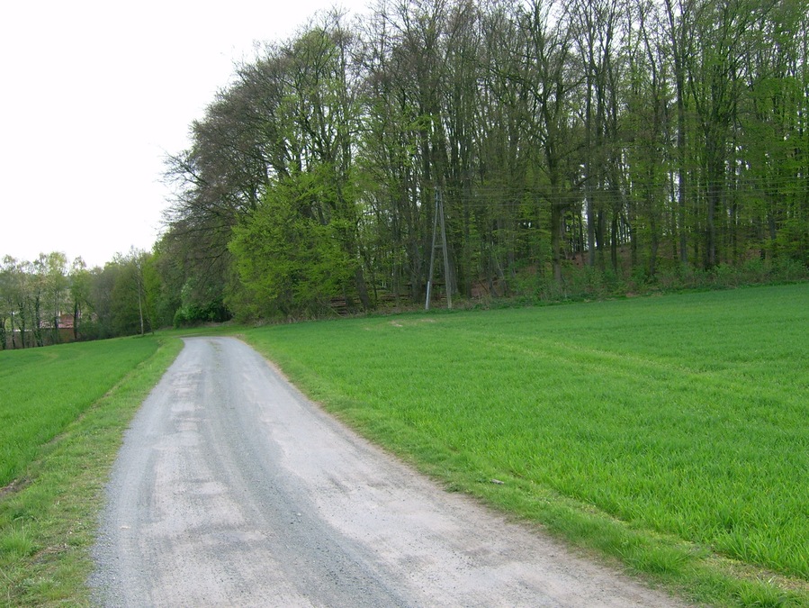 Blick zum Nollmannsberg